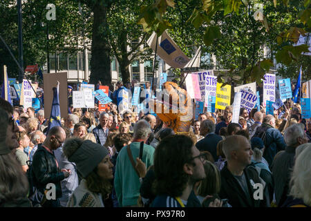 Londres, Royaume-Uni. 20 octobre 2018. Plus de 500 000 personnes auraient participé à la marche pour un vote du peuple aujourd'hui, de Park Lane à la place du Parlement à Londres. Steve Sheppardson/Alamy Live News Banque D'Images