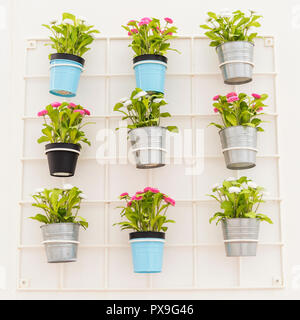 Pots de fleurs colorés suspendus à un mur blanc Banque D'Images