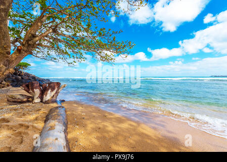 Vue sur la plage de sable, Kauai, Hawaii, USA. L'espace de copie pour le texte Banque D'Images