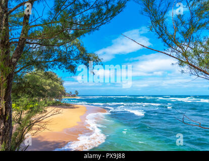 Vue sur la plage de sable, Kauai, Hawaii, USA Banque D'Images