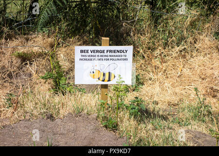 Un signe de la prise de conscience de l'herbe en bordure de la verge est Bee friendly Banque D'Images