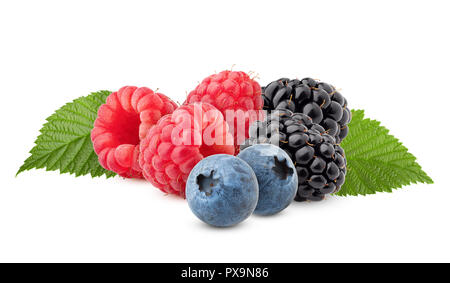 Mélange de fruits sauvages, framboises, bleuets, mûres isolé sur fond blanc, chemin de détourage, pleine profondeur de champ Banque D'Images