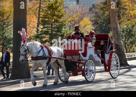 Un cheval blanc et de transport transportent les visiteurs dans Central Park, New York City, New York, USA Banque D'Images