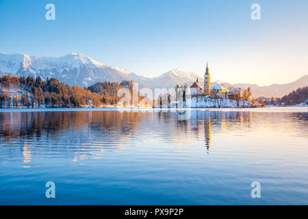 Belle vue de la célèbre île au pittoresque lac de Bled avec le Château de Bled et les Alpes Juliennes à l'arrière-plan dans la lumière du matin au lever du soleil d'or à wint Banque D'Images