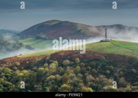 Mist son chemin serpentant entre espoir et Faye Hellner, Bowdler Hill Church Stretton, Shropshire Banque D'Images