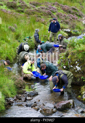 Cours de l'or à la batée pour les visiteurs et les touristes sur l'eau près de Wanlockhead Mennock, en Écosse. Banque D'Images