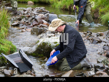 Cours de l'or à la batée pour les visiteurs et les touristes sur l'eau près de Wanlockhead Mennock, en Écosse. Banque D'Images