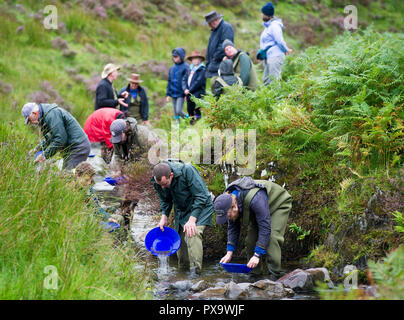 Cours de l'or à la batée pour les visiteurs et les touristes sur l'eau près de Wanlockhead Mennock, en Écosse. Banque D'Images