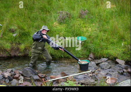 Cours de l'or à la batée pour les visiteurs et les touristes sur l'eau près de Wanlockhead Mennock, en Écosse. Banque D'Images