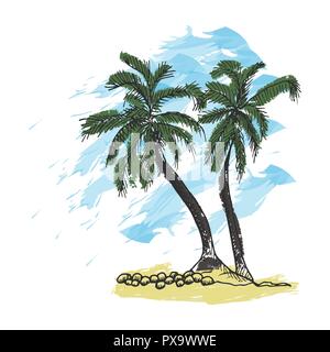 Palmiers et ciel bleu. Plage tropicale esquisse dessinée à la main. Illustration de Vecteur