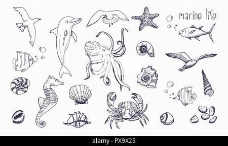Créatures de mer isolé sur fond blanc. Les animaux sous l'esquisse dessinée à la main. Illustration de Vecteur