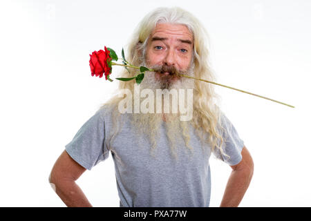 Studio shot of senior homme barbu mordre rose rouge prêt pour Vale Banque D'Images