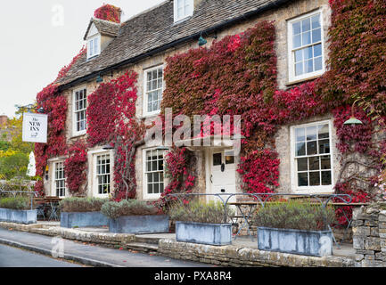 Du Parthenocissus tricuspidata. Boston ivy / réducteur japonais sur le New Inn, Coln St Aldwyns, Cotswolds, Gloucestershire, Angleterre Banque D'Images