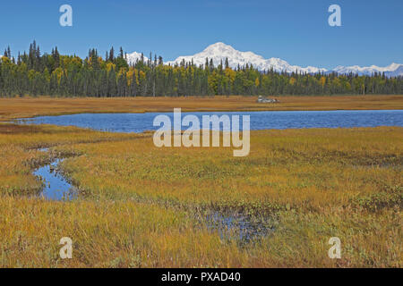 Vue du mont McKinley montrant le haut couvert de neige dans le Parc National Denali Alaska USA Banque D'Images