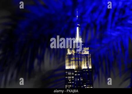 New York, NY ; Août 2018 : Regard sur l'Empire State Building à travers les arbres Banque D'Images