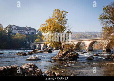 Le Rhin près de les chutes du Rhin, Schaffhausen, Suisse Banque D'Images