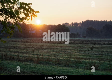 Paysage d'automne avec le soleil se illumining un banc sous un arbre, beaucoup de feuilles d'or et ciel bleu Banque D'Images