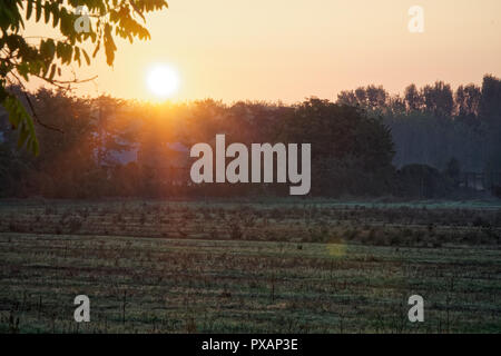 Paysage d'automne avec le soleil se illumining un banc sous un arbre, beaucoup de feuilles d'or et ciel bleu Banque D'Images