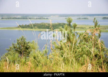 Vue de l'île sur le fleuve Dniepr Banque D'Images