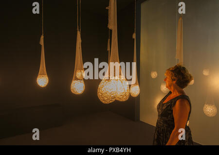 Cafesjian Center for the Arts, intérieur art afficher avec le visiteur Banque D'Images