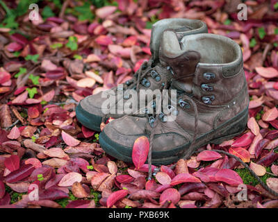 Chaussures de randonnée, bien usé de marque et, en automne, l'automne. Feuilles rouges. Balade à l'automne. Banque D'Images