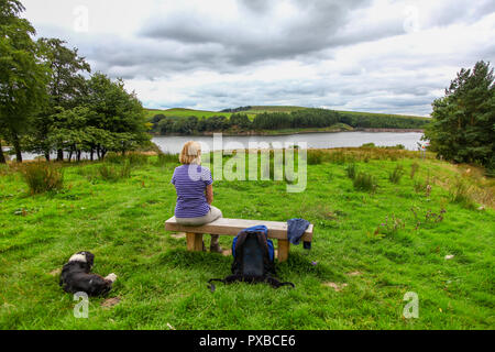 Une femme assise sur un banc en bois donnant sur Lamaload Reservoir près de Rainow, Cheshire, Angleterre, se situe dans le parc national de Peak District Banque D'Images