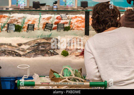 Sydney poissonnier fruits de mer frais,vente de moules et huîtres,Sydney, Australie Banque D'Images