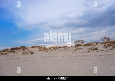 Allemagne, Russie - 15 mai 2016 : dunes de sable avec des arbres sur les rives de la mer Baltique contre le ciel bleu. Banque D'Images