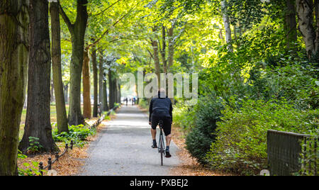 Ville Tiergarten Park, automne, Berlin, Allemagne. Vue d'un jeune homme monté sur un vélo Banque D'Images