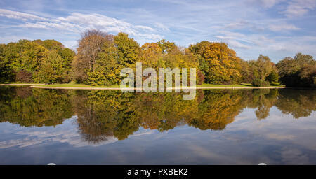 City Park, automne, Munich, Allemagne. Pelouse, arbres et reflets dans un étang Banque D'Images