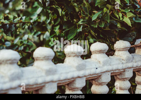 Clôture à motifs en pierre dans le jardin d'été Banque D'Images