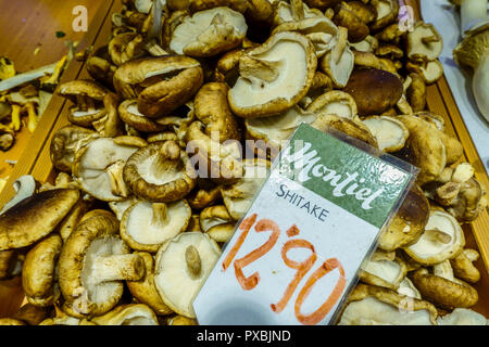 Shiitake, Lentinula edodes, champignons comestibles sur le marché, Palma de Majorque Banque D'Images