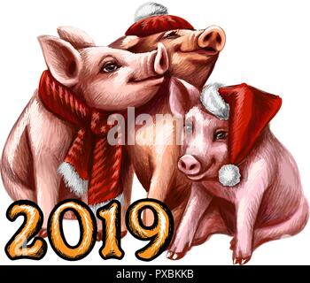 Signe du Zodiaque chinois de l'année Cochon, heureux nouvel an chinois 2019 année du cochon Illustration de Vecteur