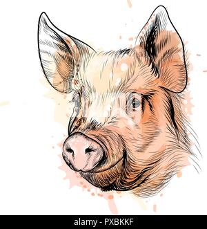 Portrait d'une tête de cochon. Signe du Zodiaque chinois de l'année Cochon Illustration de Vecteur