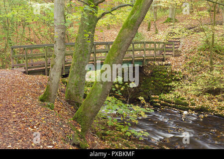 Passerelle en bois et couleurs d'automne à Eller Beck, Skipton Castle Woods, Skipton, Yorkshire du Nord, Angleterre, octobre Banque D'Images