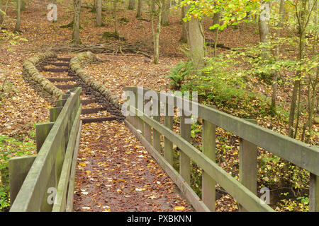 Passerelle en bois et couleurs d'automne à Eller Beck, Skipton Castle Woods, Skipton, Yorkshire du Nord, Angleterre, octobre Banque D'Images