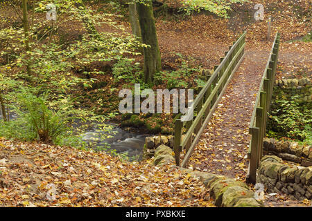 Passerelle en bois à Eller Beck, Skipton Castle Woods, Skipton, Yorkshire du Nord, Angleterre, octobre Banque D'Images