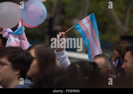 Madrid, Espagne. 20 Oct, 2018. Drapeau transgenres vu pendant la manifestation.Des centaines de transsexuels et leurs familles ont visité les rues de Madrid pour protester contre les droits des personnes transgenres au sein de la Journée internationale de lutte pour la Dépathologisation Trans. Credit : Lito Lizana SOPA/Images/ZUMA/Alamy Fil Live News Banque D'Images