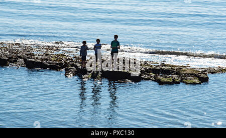 Lyme Regis, dans le Dorset, UK. 21 octobre 2018. Météo France : Les gens de la pagaie dans la mer pure en temps exceptionnellement doux comme la station balnéaire de Lyme Regis jouit de week-end chaud soleil. Credit : Celia McMahon/Alamy Live News Banque D'Images