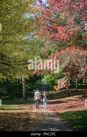 London UK. 21 octobre 2018. Les gens profiter du magnifique soleil d'automne sous le soleil d'après-midi chaud à Wimbledon Park Crédit : amer ghazzal/Alamy Live News Banque D'Images