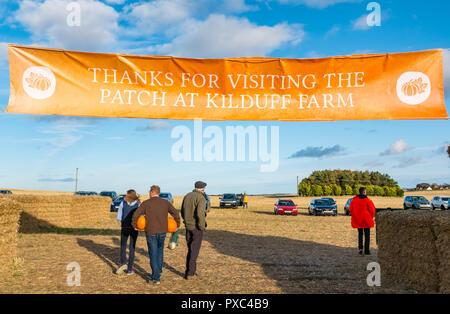 Kilduff Farm, East Lothian, Ecosse, Royaume-Uni, 21 octobre 2018. Les gens à l'entrée de l'autocueillette de citrouilles de sélection sur le terrain à une ferme locale avec un homme portant une citrouille sous chaque bras et les voitures garées sur le terrain sur une journée ensoleillée d'automne avec ciel bleu Banque D'Images