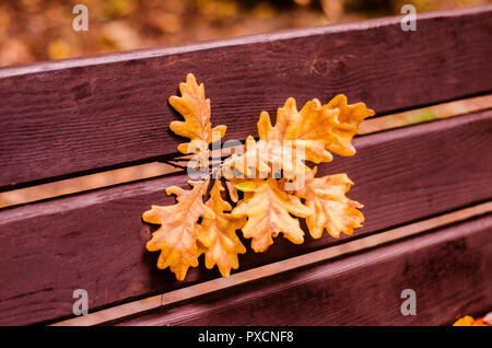 Feuilles de chêne sur un banc en bois dans le parc. L'automne photo. Banque D'Images