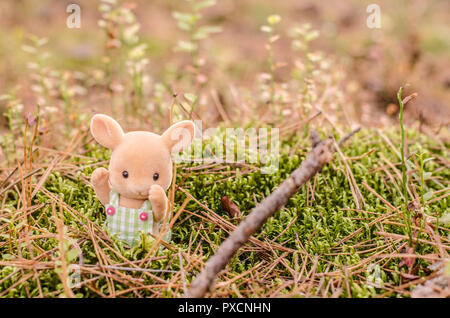 Cute toy bunny dans l'herbe dans les bois. L'automne photo Banque D'Images