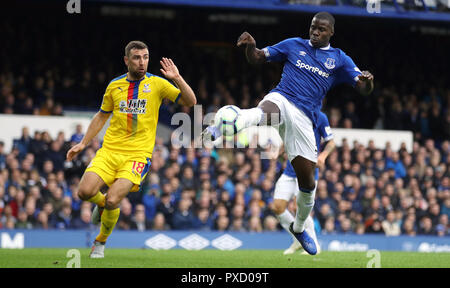 Crystal Palace's James McArthur (à gauche) et d'Everton's Kurt Zouma bataille pour la balle au cours de la Premier League match à Goodison Park, Liverpool. Banque D'Images