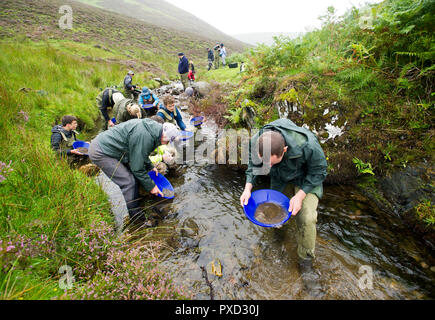 Cours de l'or à la batée pour les visiteurs et les touristes sur l'eau près de Wanlockhead Mennock, en Écosse. Banque D'Images