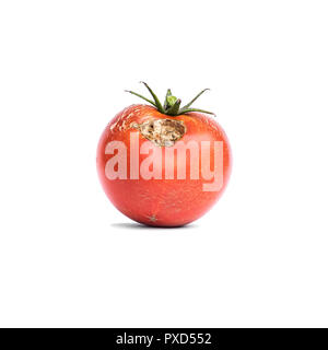 Légumes Tomates avec une maladie isolé sur blanc. Banque D'Images