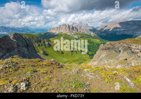 Belle vue sur montagne Dolomites italiennes à l'été. La crête de Sharp, mur de montagnes, vallées boisées et des pâturages d'herbe. Point de vue du sommet. Banque D'Images