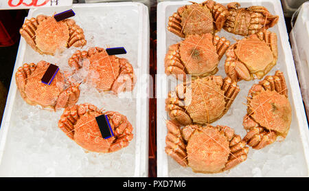Crabe poilu frais ou sur glace pour kegani vendus au marché matinal Asaichi, selective focus Banque D'Images