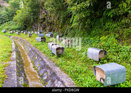 Le Rucher ou ferme apicole la route principale le long de la forêt de montagne gouttière. Banque D'Images