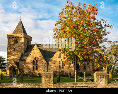 Église paroissiale d'Aberlady illuminée par le soleil du soir avec fleur de rowan Tree Mountain ash) des pomes ou des baies en automne, East Lothian, Écosse, Royaume-Uni Banque D'Images